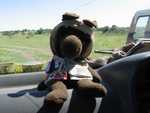 Monty in the Serengeti safari van