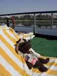 Monty relaxes on the Nile cruise