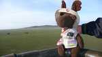 Monty surveys the Serengeti savanna