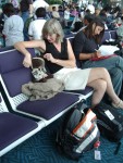 A1- Don't worry Monty,says Susan. Nora will be right back... she won't miss the plane!
