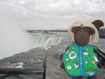Here I am!  Can you see the Falls?
