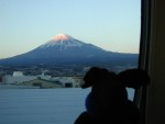 Monty rides the Bullet Train!  Isn't Mount Fuji spectacular!!!