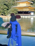 Gold Pavilion