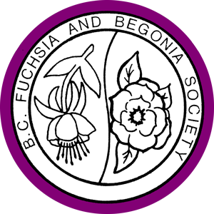 BC Fuchsia Begonia Society