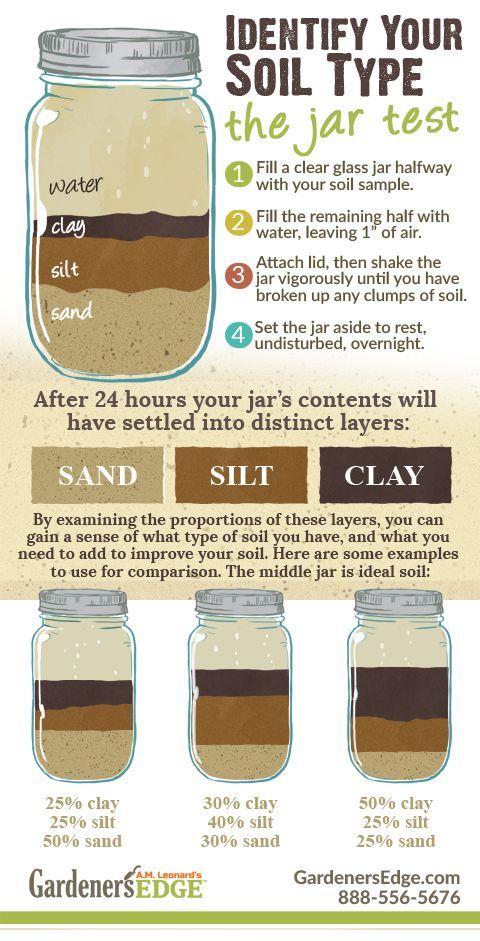 soil_test