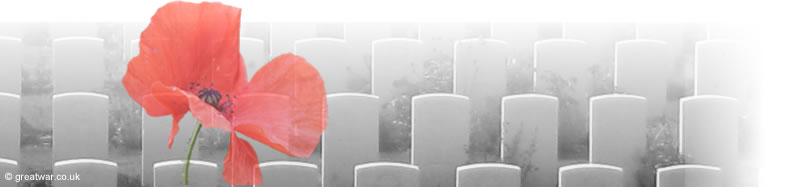 poppies_graves