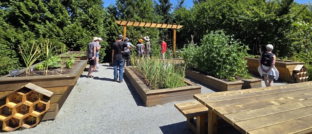 edible garden