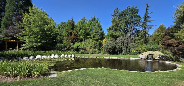 pond