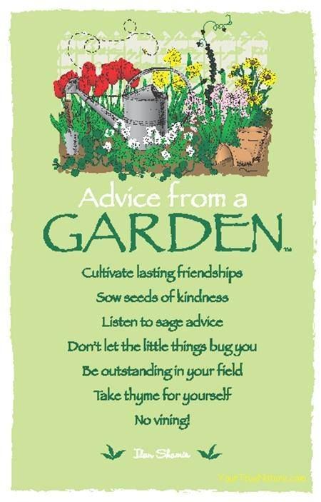advice from a garden