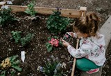 child gardening
